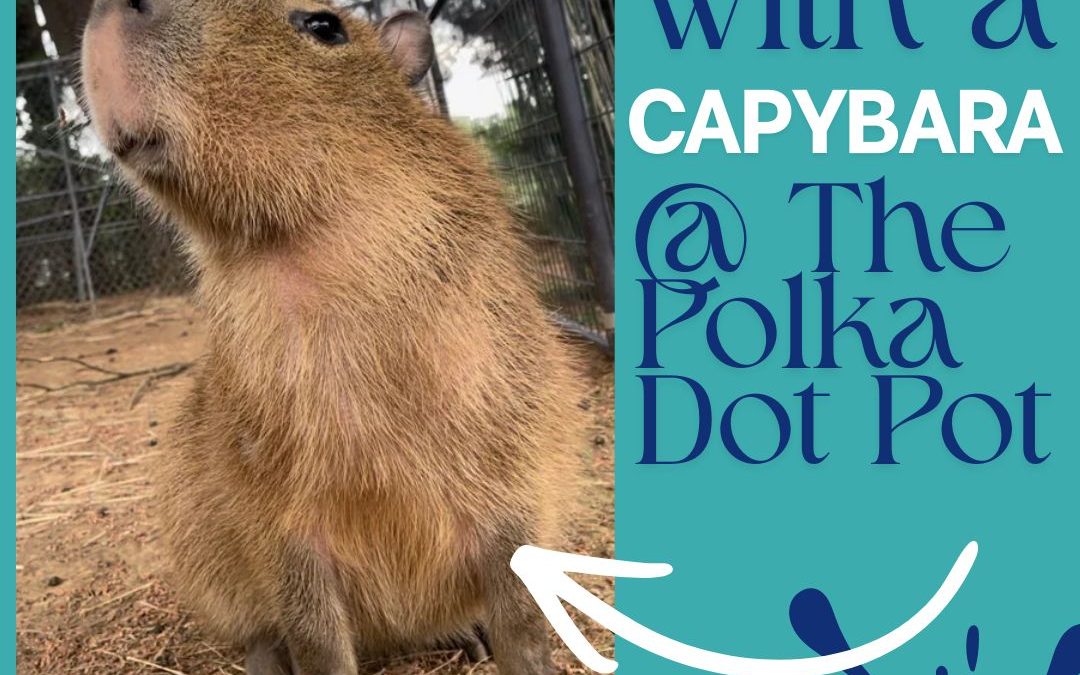 Paint With A Capybara